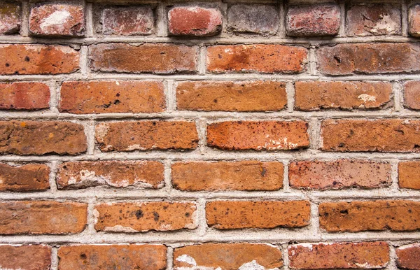 Ziegelmauer — Stockfoto