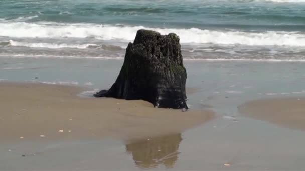 Ondas sobre um toco na maré baixa — Vídeo de Stock