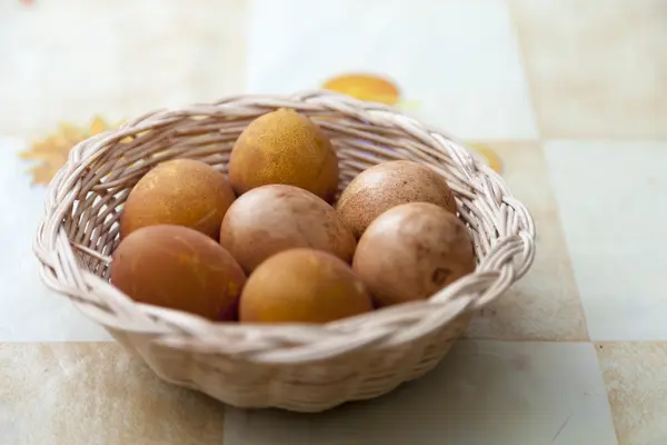 Chicken Eggs — Stock Photo, Image