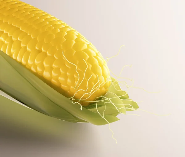 Fresh raw corn cob — Stock Photo, Image