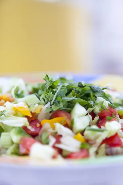 Groene salade — Stockfoto