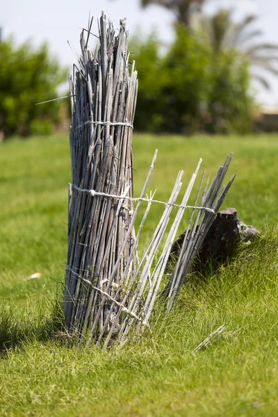 竹の柵 — ストック写真