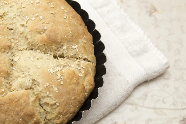 Pane di Outmeal — Foto Stock