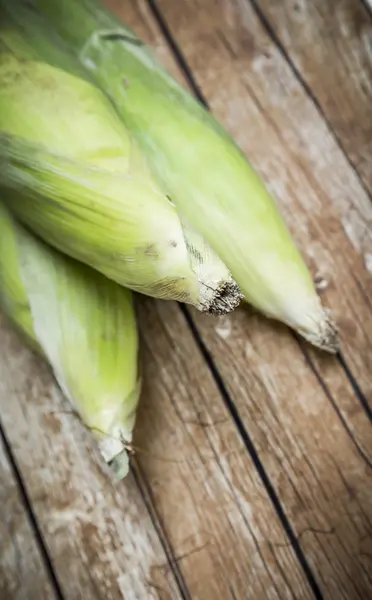 Corn Cob — Stock Photo, Image