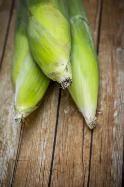 Corn Cob — Stock Photo, Image