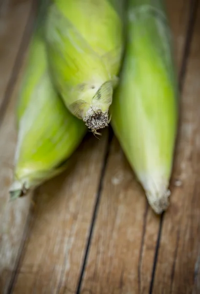 Corn Cob — Stock Photo, Image