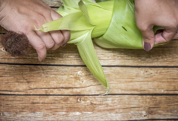 mısır mısır koçanı