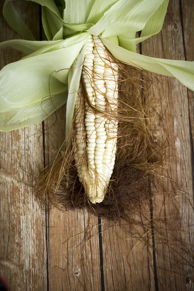 Corn Cob — Stock Photo, Image