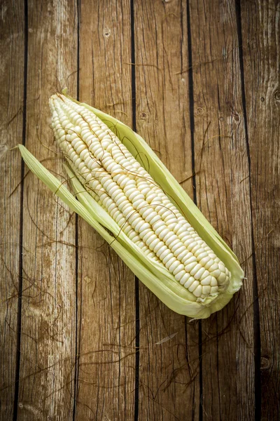 Corn Cob — Stock Photo, Image