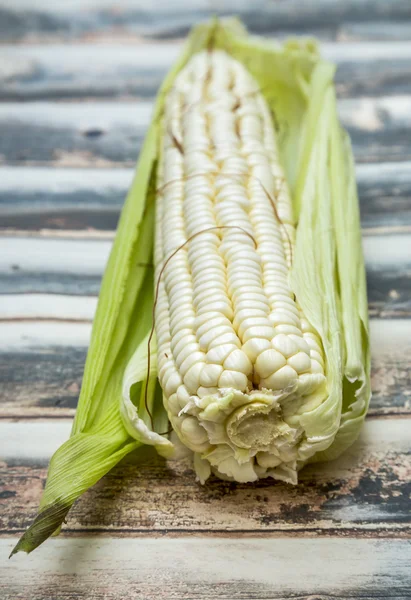 Corn Cob — Stock Photo, Image