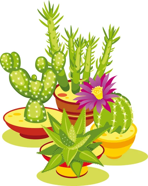 Set of Cactuses — Stock Vector