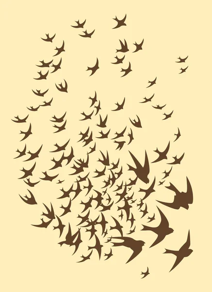 Silhouette of flock birds — Stock Vector