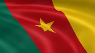 Kamerunlu bayrak Rüzgar