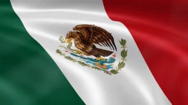 Rüzgar Meksika bayrağı
