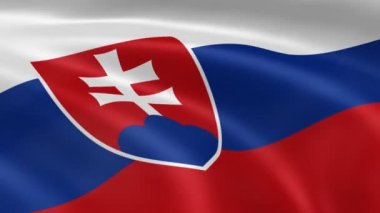 Rüzgardaki Slovakya bayrağı