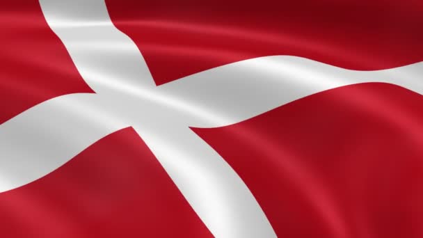 Danish flag in the wind — Wideo stockowe