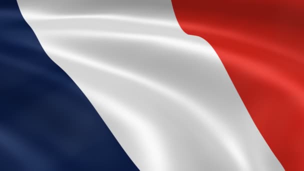 Bandera de Francia en el viento — Vídeos de Stock