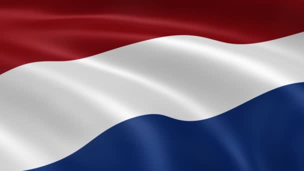 Dutch flag in the wind — Stock Video