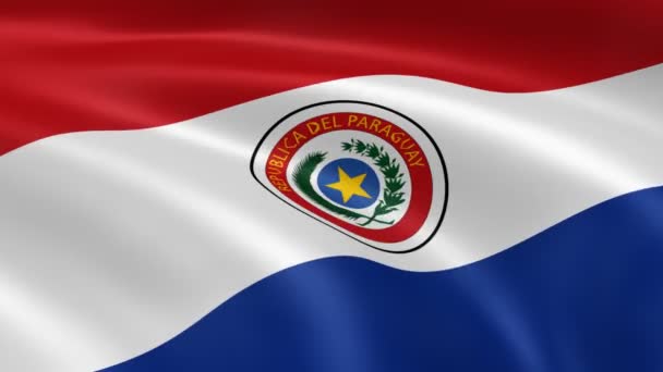 Paraguayan flag in the wind — Stock Video