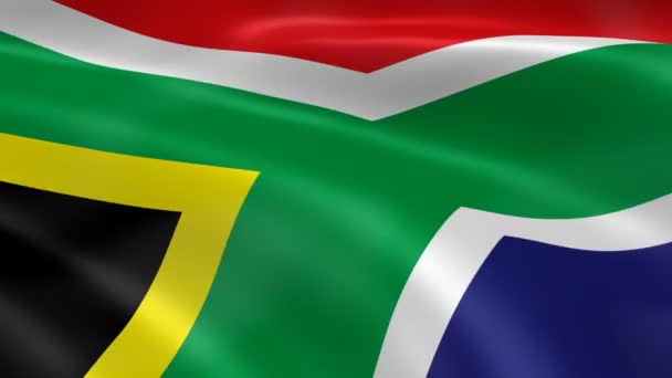 Zuid-Afrikaanse vlag — Stockvideo