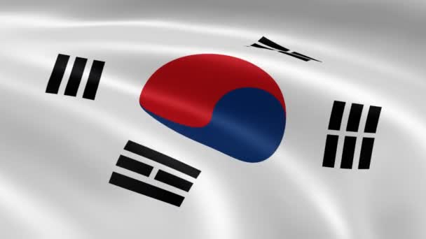 South Korean flag in the wind — Stock Video