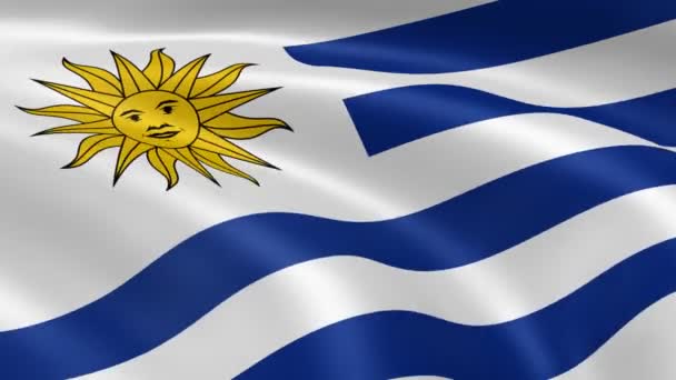 Drapeau uruguayen au vent 
