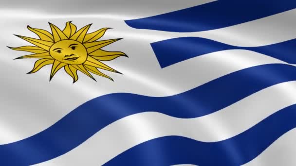 Uruguayan flag in the wind — Stock Video