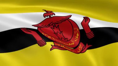 Rüzgar Brunei bayrağı