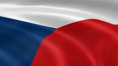 Czech flag in the wind