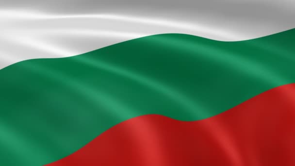 Bandera de Bulgaria en el viento — Vídeo de stock