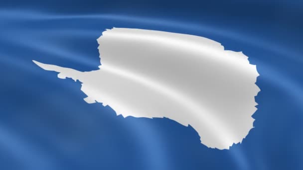 Drapeau antarctique dans le vent 