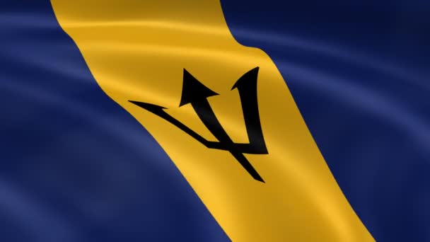 Barbadian flag in the wind — Stock Video