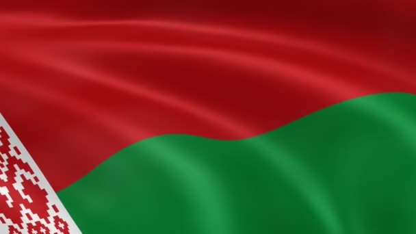 Belarusian flag in the wind — Stock Video