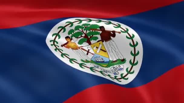 Bandeira do Belize ao vento — Vídeo de Stock