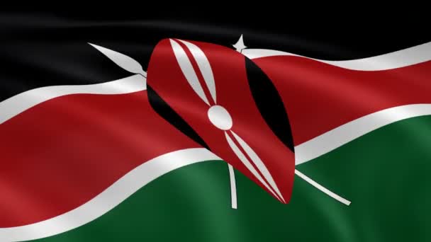 Kenyan flag in the wind. — Stock Video