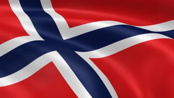 Rüzgarda Norveç bayrağı. — Stok video