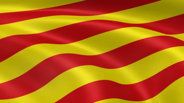 Catalonian flag in the wind. — Stock Video