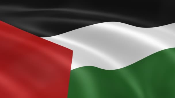 Bandera palestina — Vídeos de Stock