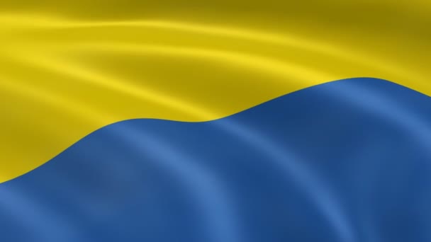 Bandiera ucraina — Video Stock