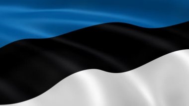 Rüzgar Estonya bayrağı.