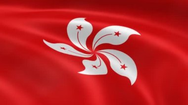 Hong konger bayrak Rüzgar.