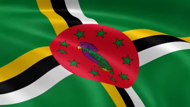 ドミニカ共和国の旗が風に. — ストック動画