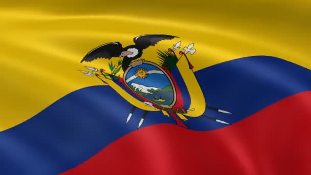 Ecuadoraanse vlag in de wind. — Stockvideo