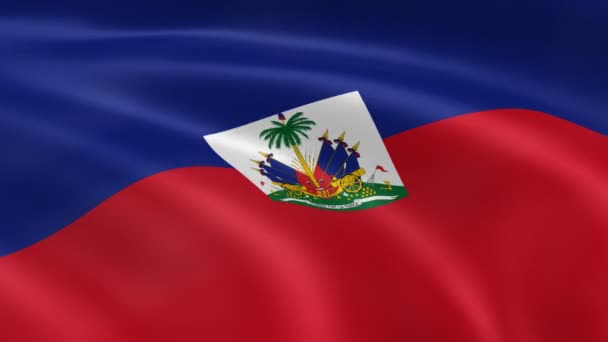 Bandiera haitiana nel vento . — Video Stock