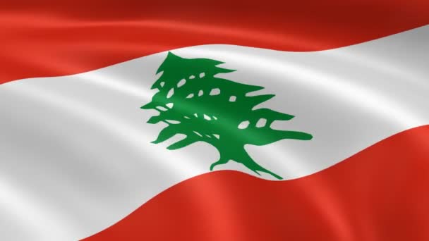 Lebanese flag in the wind. — Stock Video