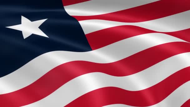 Liberiaanse vlag in de wind. — Stockvideo