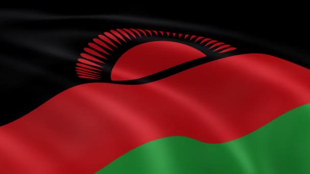 Malawiske flag i vinden . – Stock-video