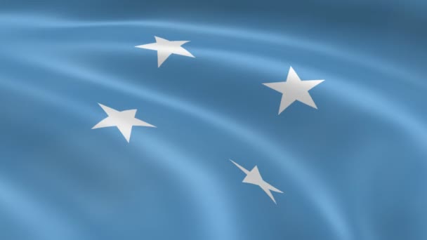 Bandera Micronesia en el viento . — Vídeo de stock