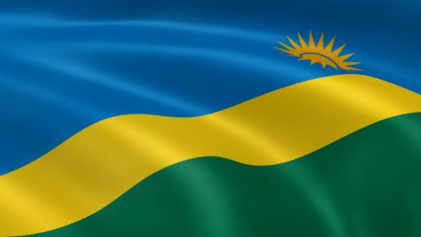 Drapeau rwandais dans le vent . — Video