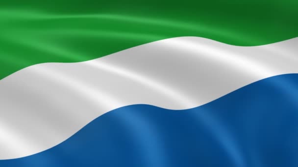 Sierra Leonean flag in the wind. — Stock Video